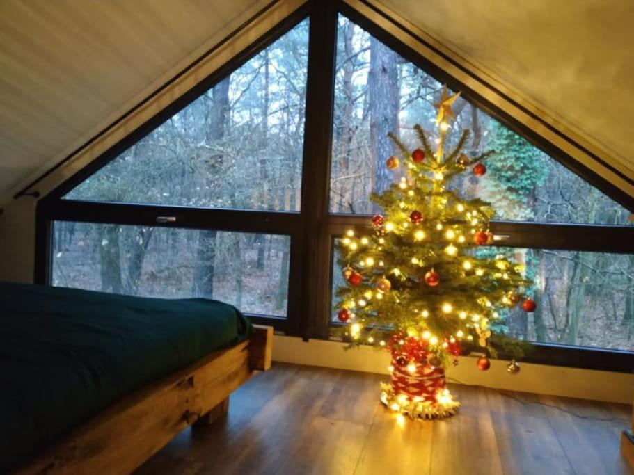 Forest View Lodge Diessen Zewnętrze zdjęcie